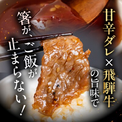 【焼くだけ簡単】飛騨牛 特製味付け焼肉 200g×3袋【22-49】