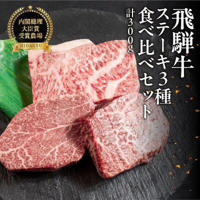飛騨牛ステーキ 3種 食べ比べセット(各100g)計300g(サーロイン・ヒレ・赤身)【22-50】