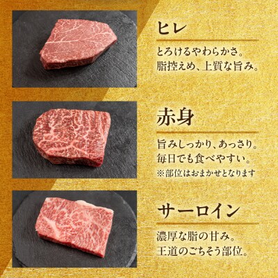 飛騨牛ステーキ 3種 食べ比べセット(各100g)計300g(サーロイン・ヒレ・赤身)【22-50】