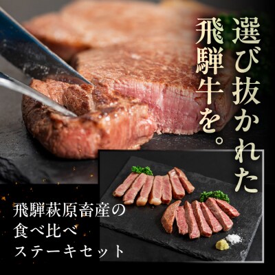 飛騨牛ステーキ 3種 食べ比べセット(各100g)計300g(サーロイン・ヒレ・赤身)【22-50】