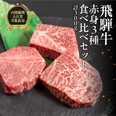 飛騨牛 赤身ステーキ 3種 食べ比べセット(各100g)計300g【22-52】
