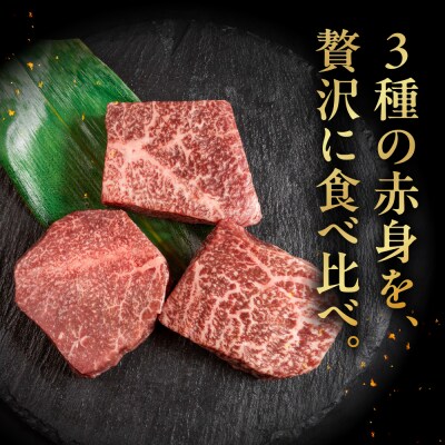 飛騨牛 赤身ステーキ 3種 食べ比べセット(各100g)計300g【22-52】