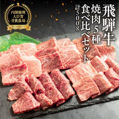 飛騨牛 焼肉 5種 食べ比べセット(各100g)計500g 【22-53】