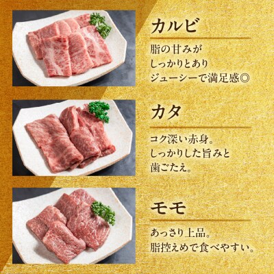 飛騨牛 焼肉 5種 食べ比べセット(各100g)計500g 【22-53】
