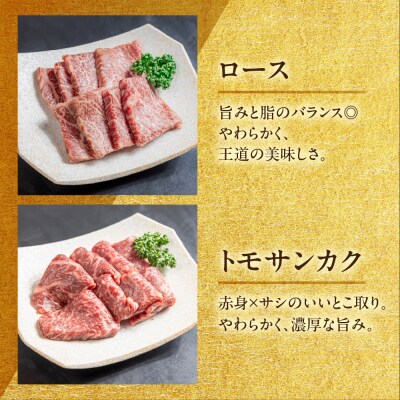 飛騨牛 焼肉 5種 食べ比べセット(各100g)計500g 【22-53】