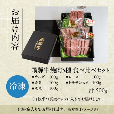 飛騨牛 焼肉 5種 食べ比べセット(各100g)計500g 【22-53】
