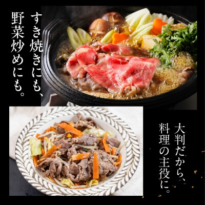 飛騨牛 切り落とし 200g×5袋 　計1kg【22-47】