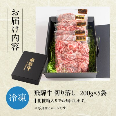 飛騨牛 切り落とし 200g×5袋 　計1kg【22-47】