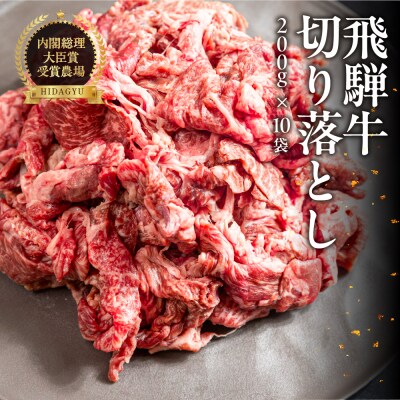 飛騨牛 切り落とし 200g×10袋 　計2kg【22-48】