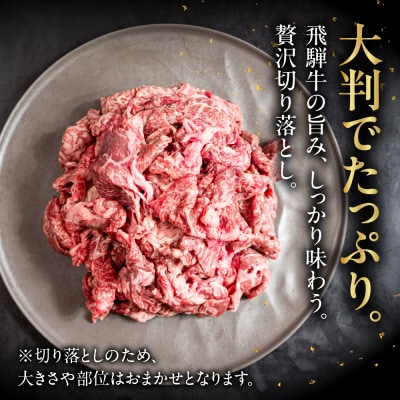 飛騨牛 切り落とし 200g×10袋 　計2kg【22-48】