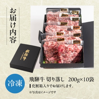 飛騨牛 切り落とし 200g×10袋 　計2kg【22-48】