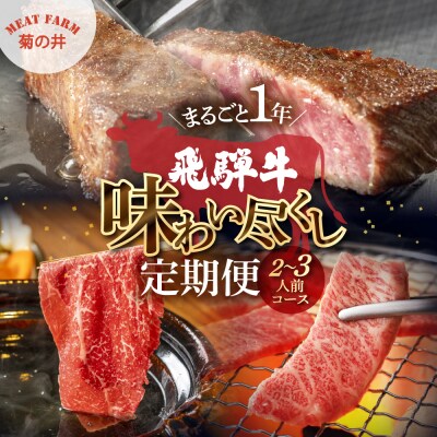 【定期便 12回】飛騨牛まるごと1年味わい尽くし定期便(2～3人前)【70-C】