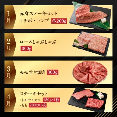 【定期便 12回】飛騨牛まるごと1年味わい尽くし定期便(2～3人前)【70-C】