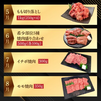 【定期便 12回】飛騨牛まるごと1年味わい尽くし定期便(2～3人前)【70-C】