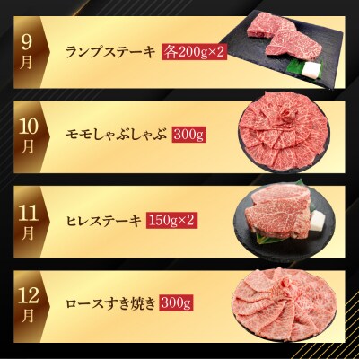 【定期便 12回】飛騨牛まるごと1年味わい尽くし定期便(2～3人前)【70-C】