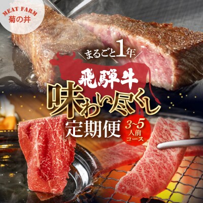 【定期便 12回】飛騨牛まるごと1年味わい尽くし定期便(3～5人前)【70-D】