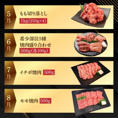 【定期便 12回】飛騨牛まるごと1年味わい尽くし定期便(3～5人前)【70-D】