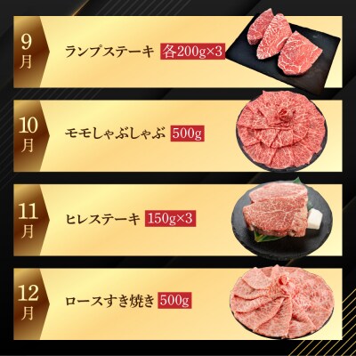 【定期便 12回】飛騨牛まるごと1年味わい尽くし定期便(3～5人前)【70-D】