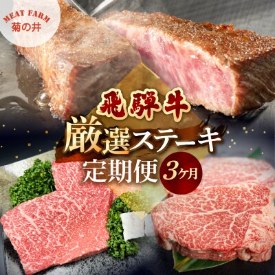 【定期便 3回】飛騨牛厳選ステーキ3ヶ月定期便【70-E】