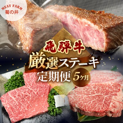 【定期便 5回】飛騨牛厳選ステーキ 5ヶ月定期便【70-F】