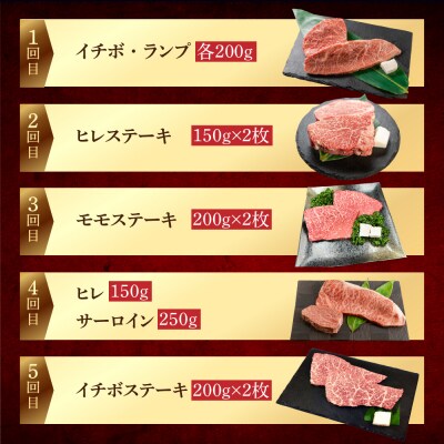 【定期便 5回】飛騨牛厳選ステーキ 5ヶ月定期便【70-F】