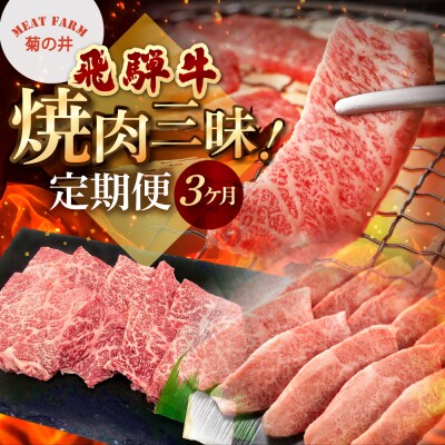 【定期便 3回】飛騨牛焼肉三昧!3ヶ月 連続定期便(2～3人前)【70-G】