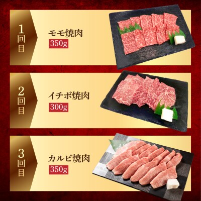 【定期便 3回】飛騨牛焼肉三昧!3ヶ月 連続定期便(2～3人前)【70-G】