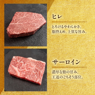 飛騨牛 希少部位食 5種 食べ比べステーキセット(各100g)計500g【22-51】