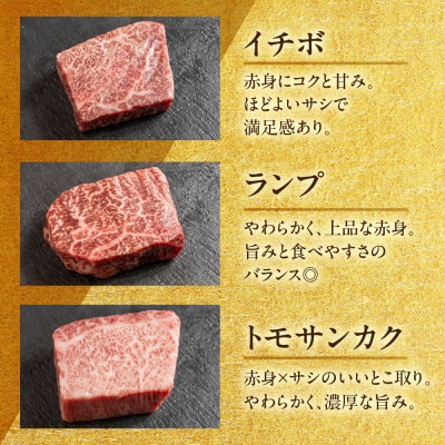 飛騨牛 希少部位食 5種 食べ比べステーキセット(各100g)計500g【22-51】