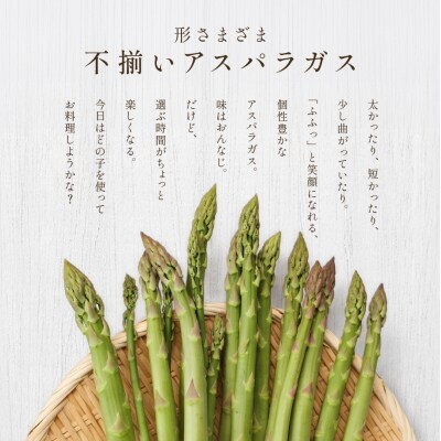 (2026年5月中旬以降から順次発送)訳ありアスパラガス 1.3kg【119-7】