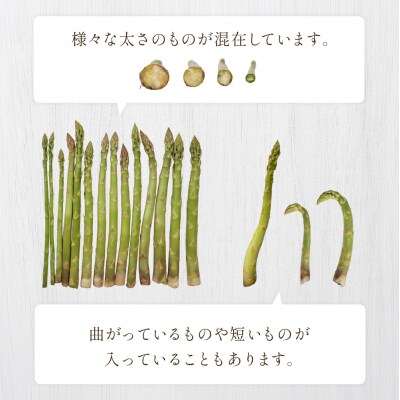(2026年5月中旬以降から順次発送)訳ありアスパラガス 1.3kg【119-7】