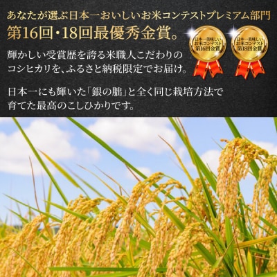 即納≪7営業日以内に発送≫【2025年産米】こしひかり 3kg 雅の舞 【119-6】