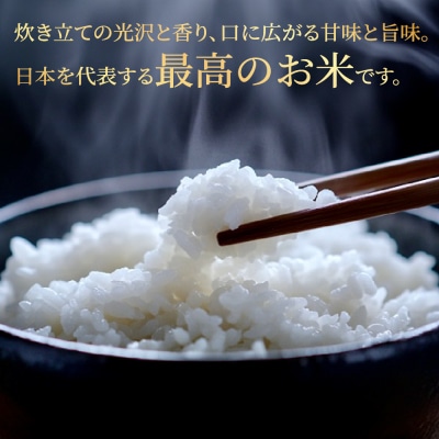 即納≪7営業日以内に発送≫【2025年産米】こしひかり 3kg 雅の舞 【119-6】