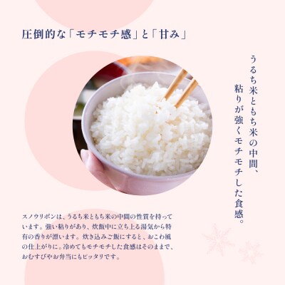 【2025年産】スノウリボン(ゆきむすび)2kg×1袋 米 精米【13-51】