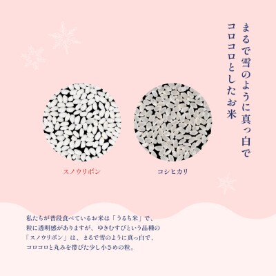 【2025年産】スノウリボン(ゆきむすび)2kg×1袋 米 精米【13-51】