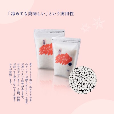 【2025年産】スノウリボン(ゆきむすび)5kg×1袋 米 精米【13-53】