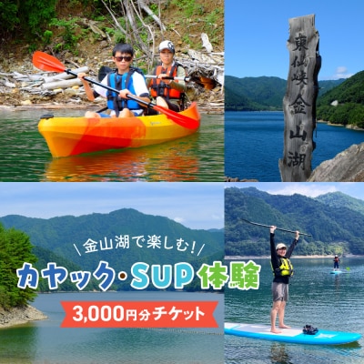 【金山湖カヤック・SUP体験】体験で利用できるチケット(3,000円分)サップ【a036-1】