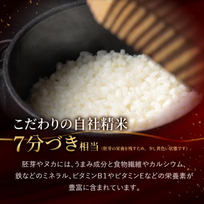 (2027年4月発送)【2026年産】龍の瞳 2kg×1袋【14-1【4】】