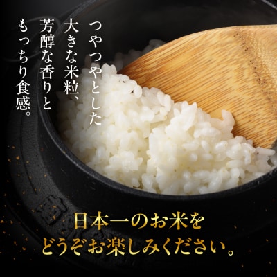 (2027年9月発送)【2026年産】龍の瞳 2kg×1袋【14-1【9】】