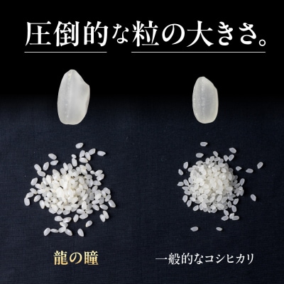 (2027年7月発送)【2026年産】龍の瞳 5kg×1袋【14-4【7】】