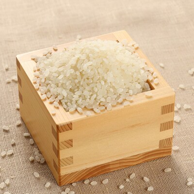 (2026年10月下旬頃から順次発送)新米 コシヒカリ 5kg×1袋【129-2】