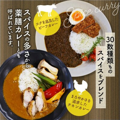 カレーハウスあんくるのビーフ&チキン　冷凍カレーセット計2kg(業務用)