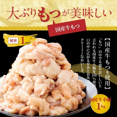 (訳あり)国産牛モツ1kg! やまやのもつ鍋セット 10人前