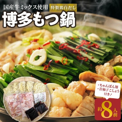 博多もつ鍋 特製鶏白だし8人前 ちゃんぽん麺5玉&青柚子こしょう付き!!