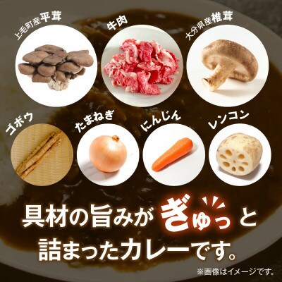ビーフスパイスカレー5個セット