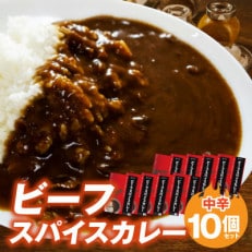 ビーフスパイスカレー10個セット