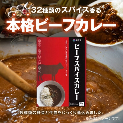 ビーフスパイスカレー10個セット