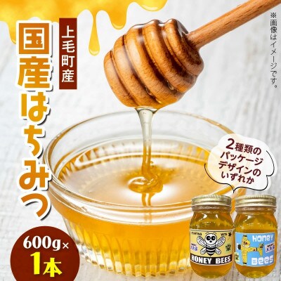国産はちみつ(上毛町産)600g×1本