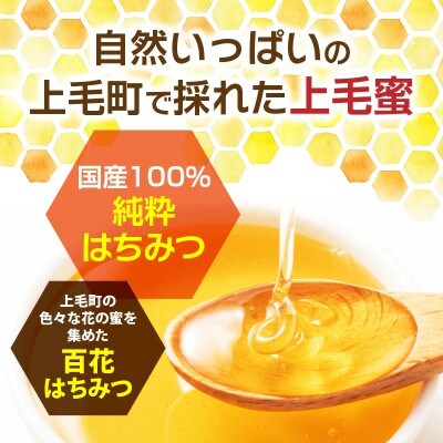 国産はちみつ(上毛町産)600g×1本