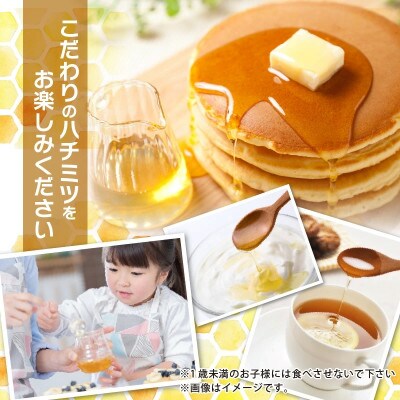 国産はちみつ(上毛町産)600g×1本